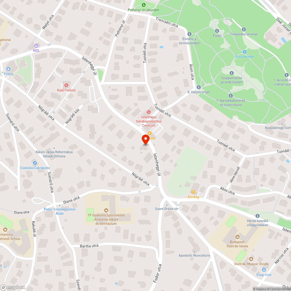 kiégett utcai lámpa bejelentés helye