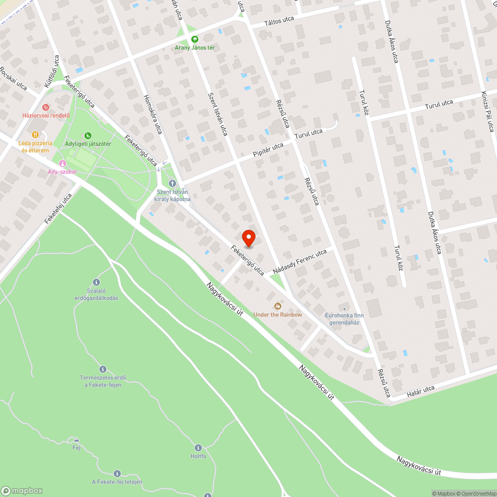 Karácsonyfa bejelentés helye