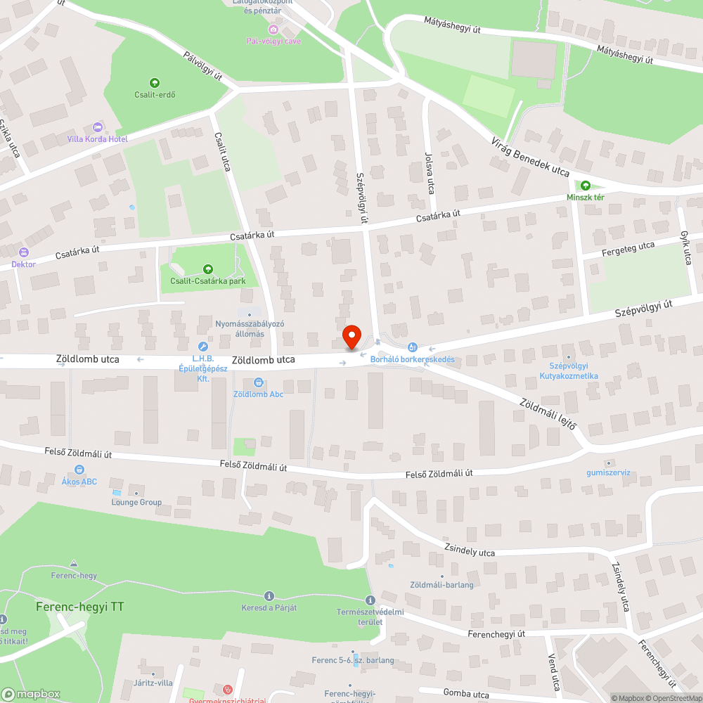 Balesetveszély a csalit utcai buszmegállóban bejelentés helye