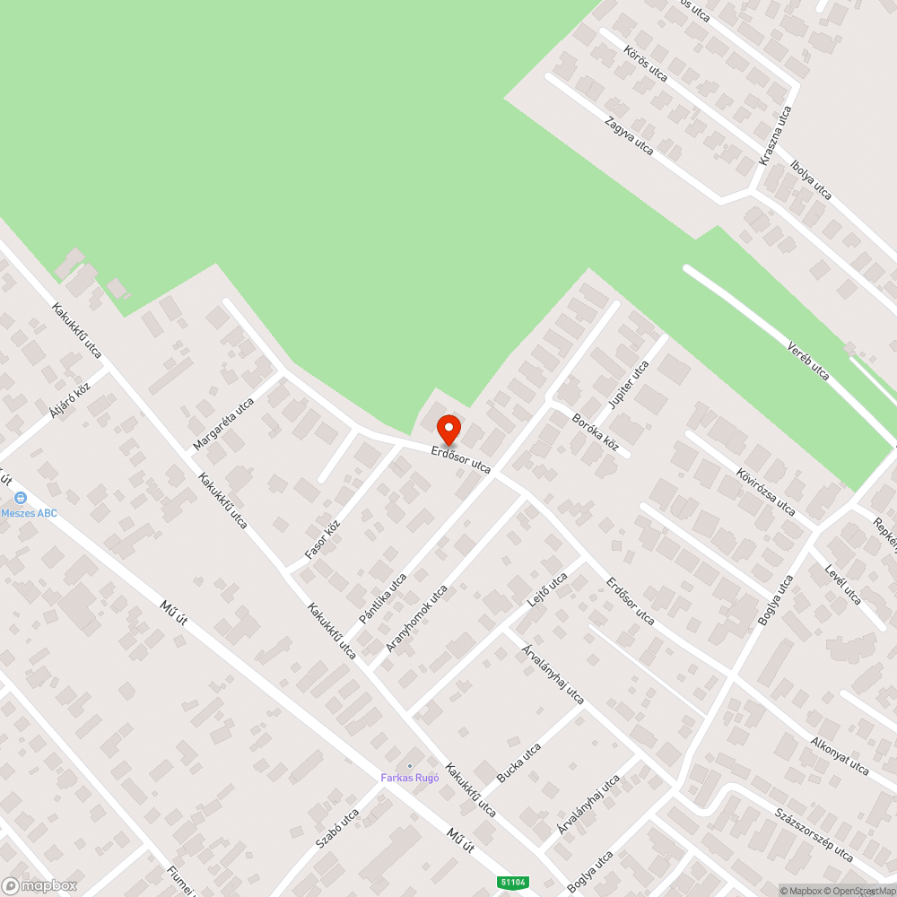 2017 óta megoldatlan tó. Járhatatlan út. bejelentés helye