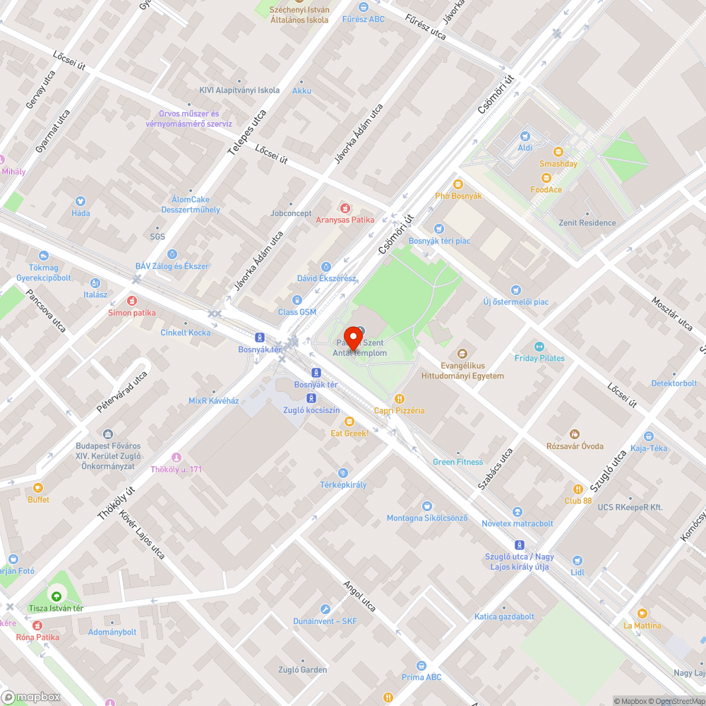 Bosnyák téri templom mellett fa által felnyomott térkövek bejelentés helye