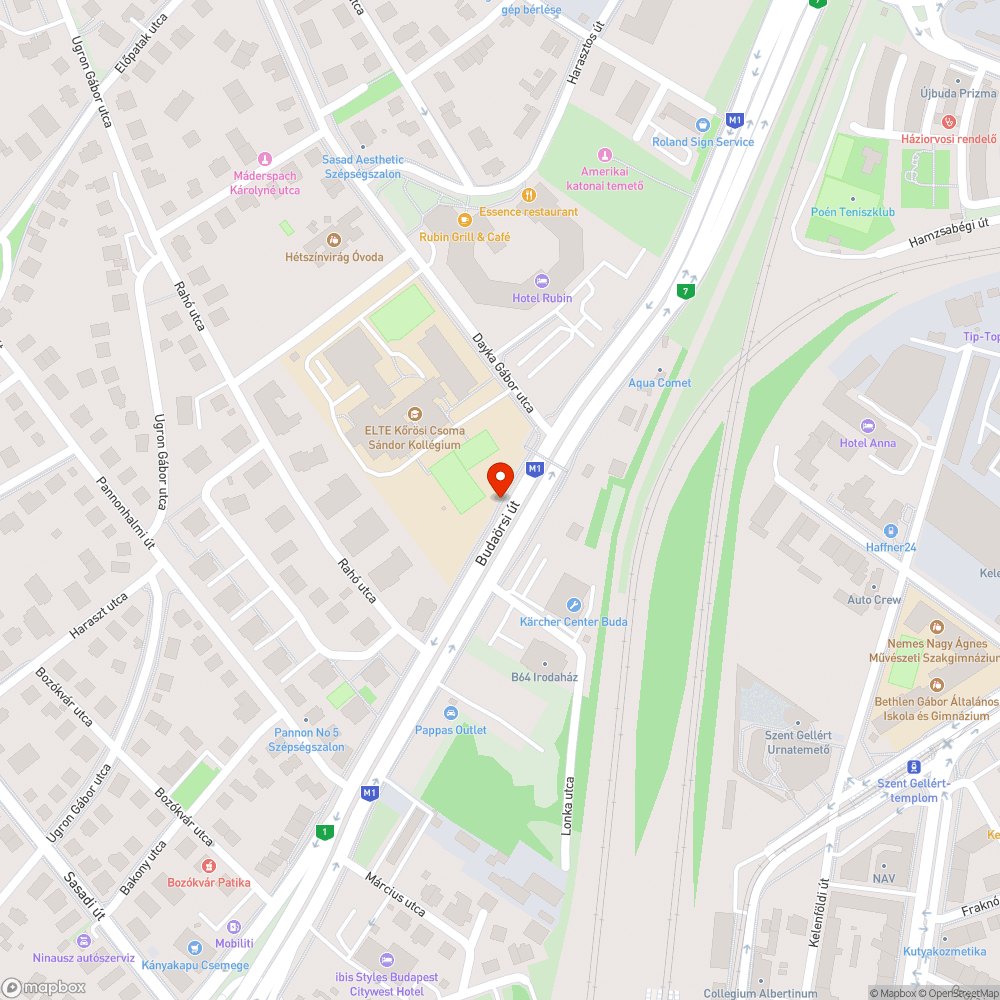 Leszakadt faág a Dayka Gábor utca - Budaörsi útnál bejelentés helye