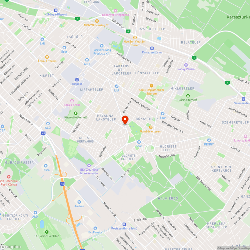 Kerékpárútra ránőtt sövény gondozatlansága a Margó Tivadar úton bejelentés helye