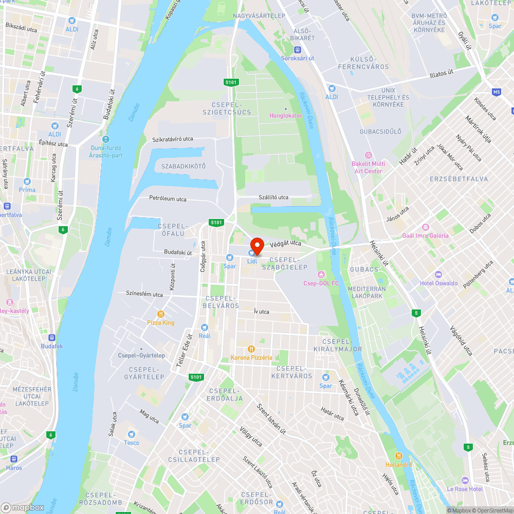 Gyomnövények mindenhol - Ady Endre út bejelentés helye