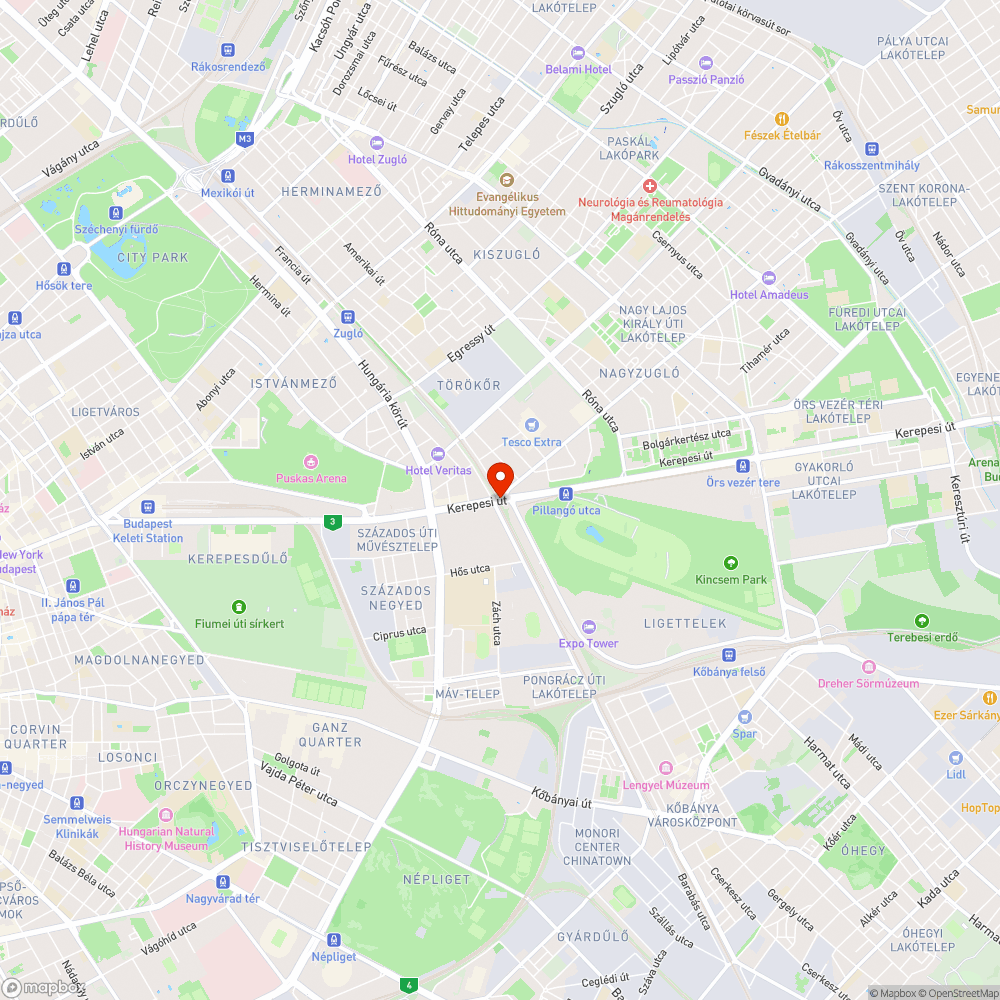 Igénytelen dzsungel a városban bejelentés helye