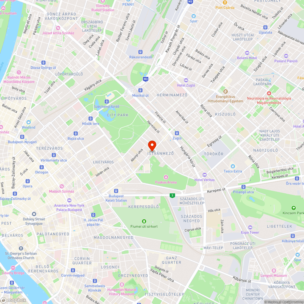 Villanyvezetékbe lógó faágak bejelentés helye