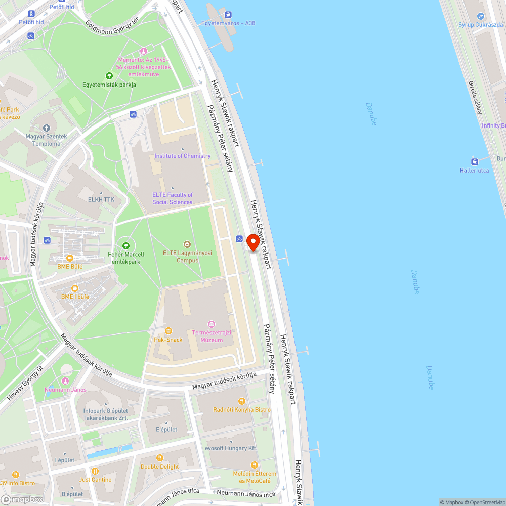 Fa gyökere, térkő bejelentés helye