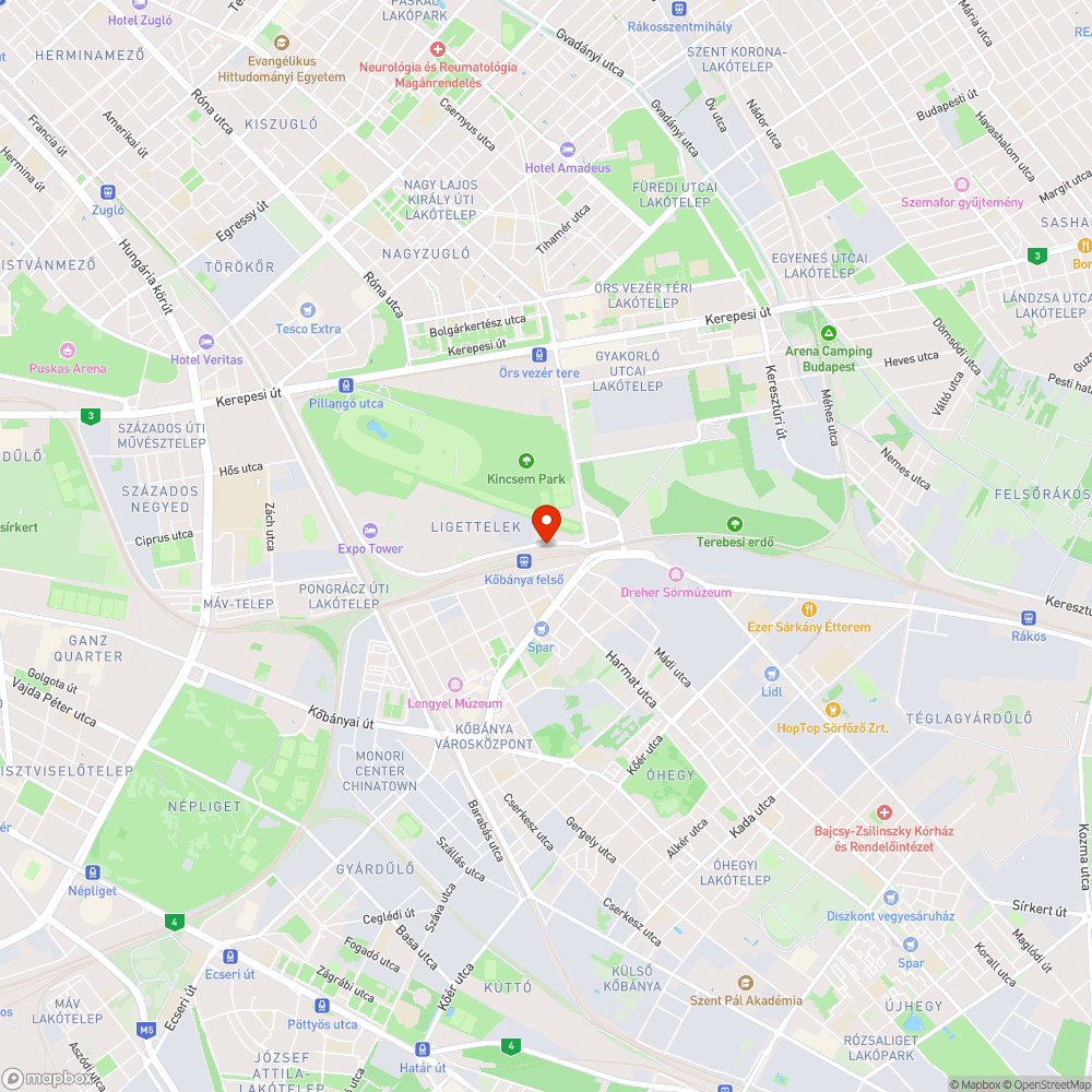 Burjánzó növényzet a kerékpárúton bejelentés helye