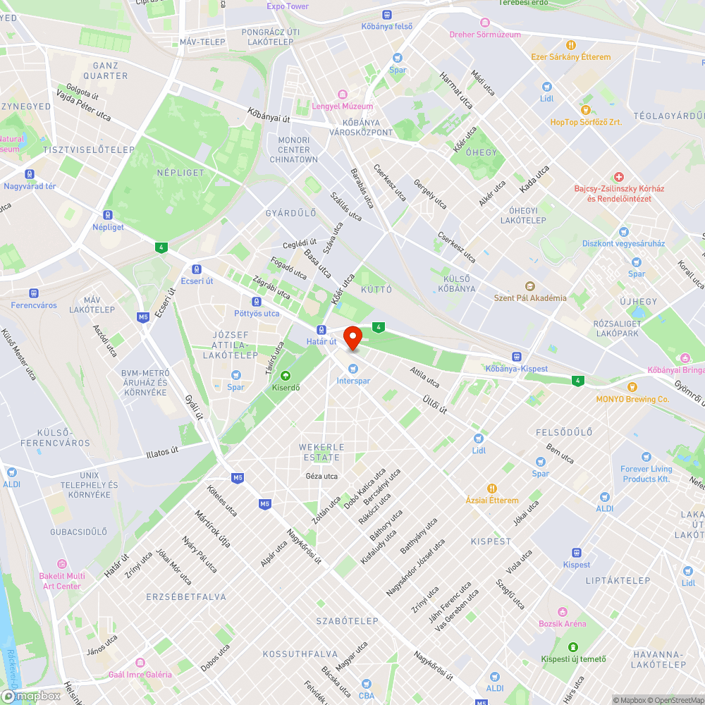 Burjánzó gaz, elhanyagolt járda bejelentés helye