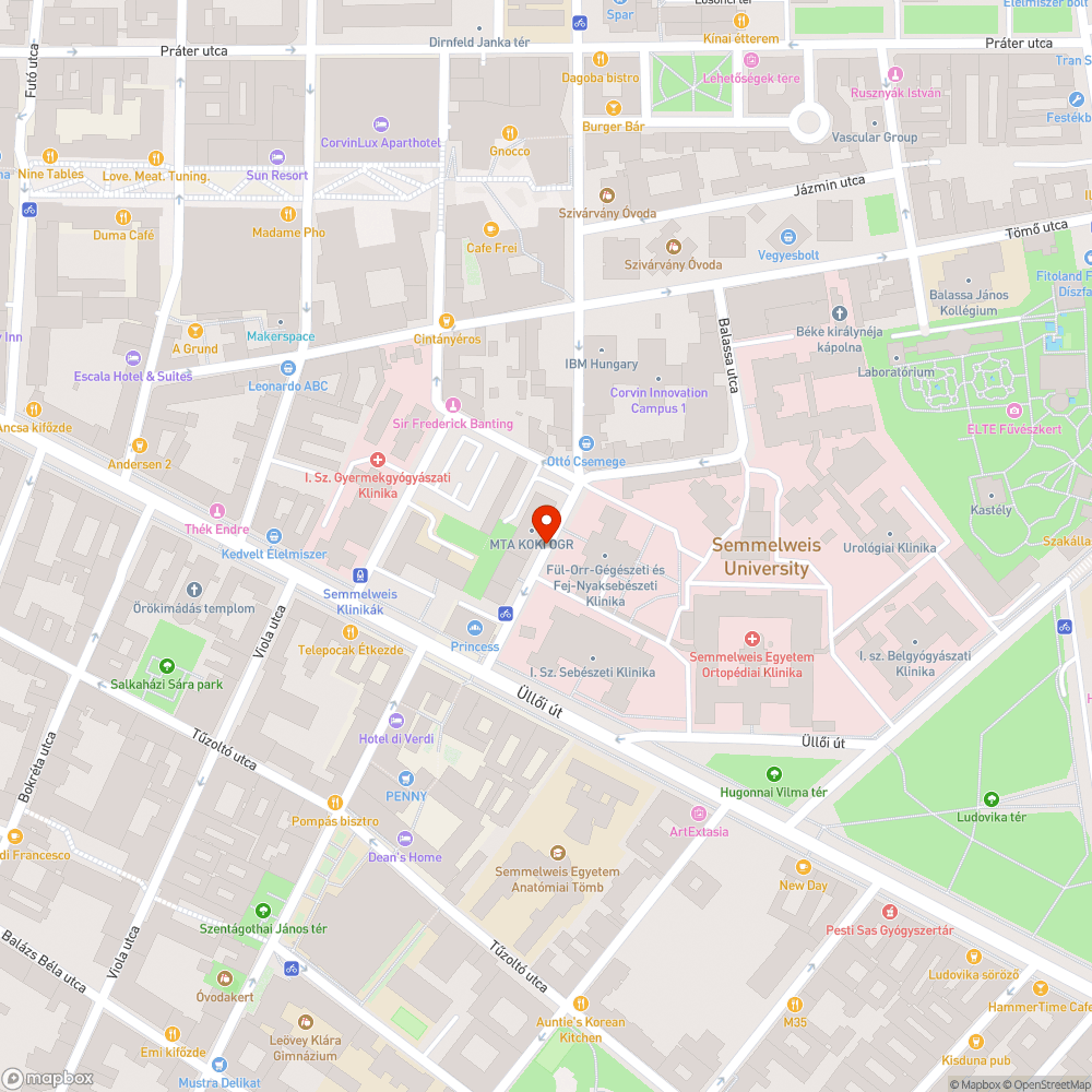 Kerékpáros nyom a parkoló autók holtterében halad bejelentés helye