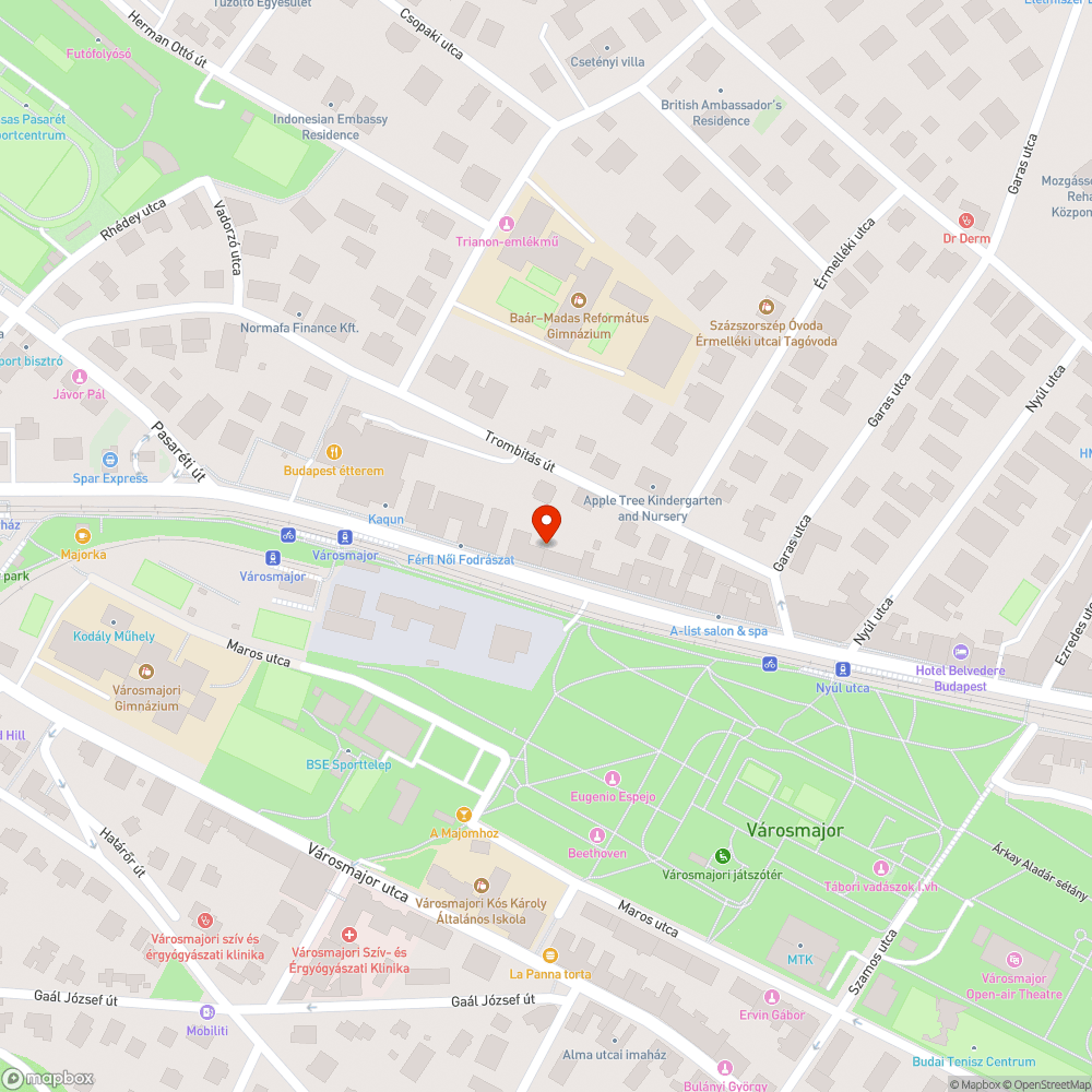 Villamosközlekedés a Szilágyi Erzsébet fasoron bejelentés helye