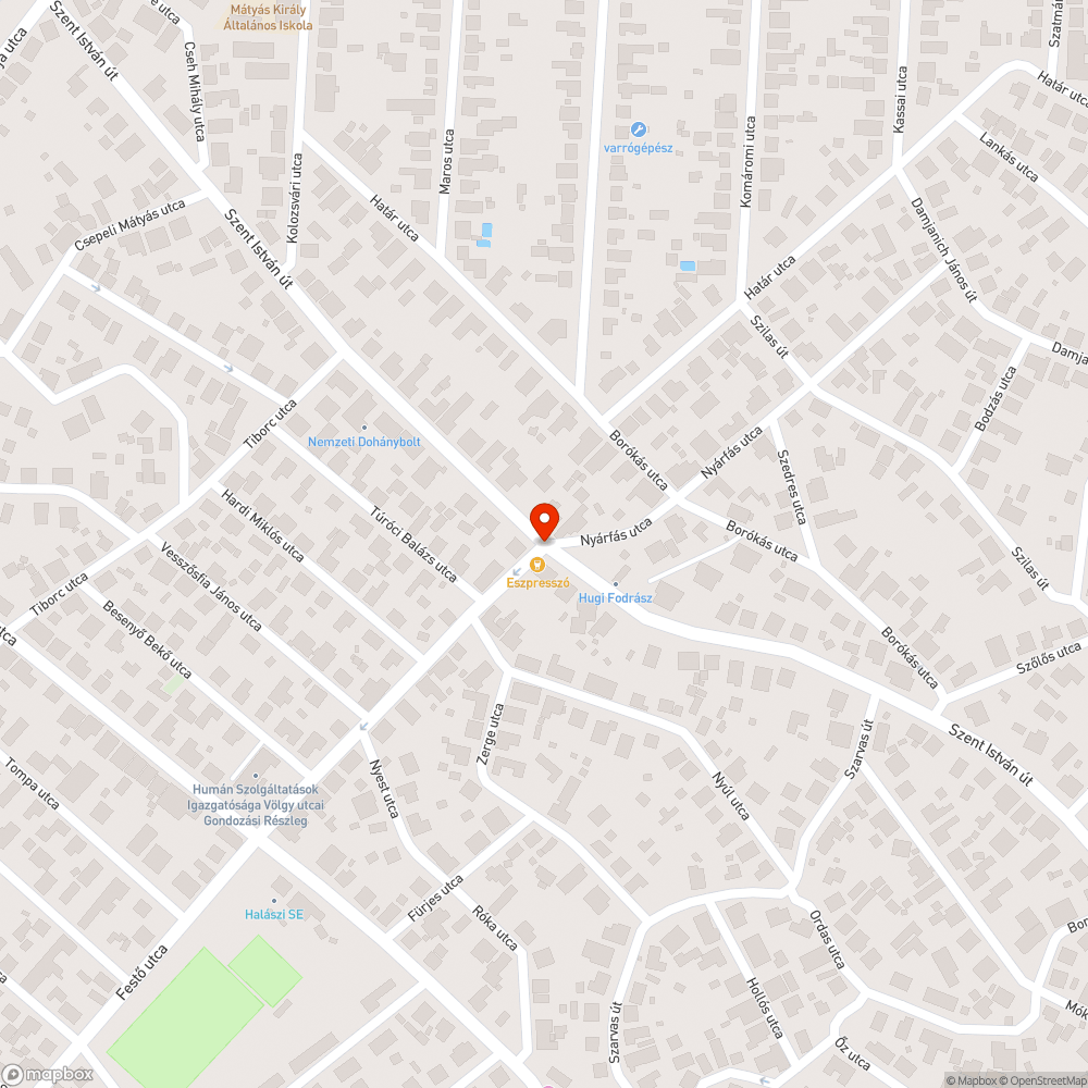 Zajos vízelvezető rács (Martinász utca) bejelentés helye