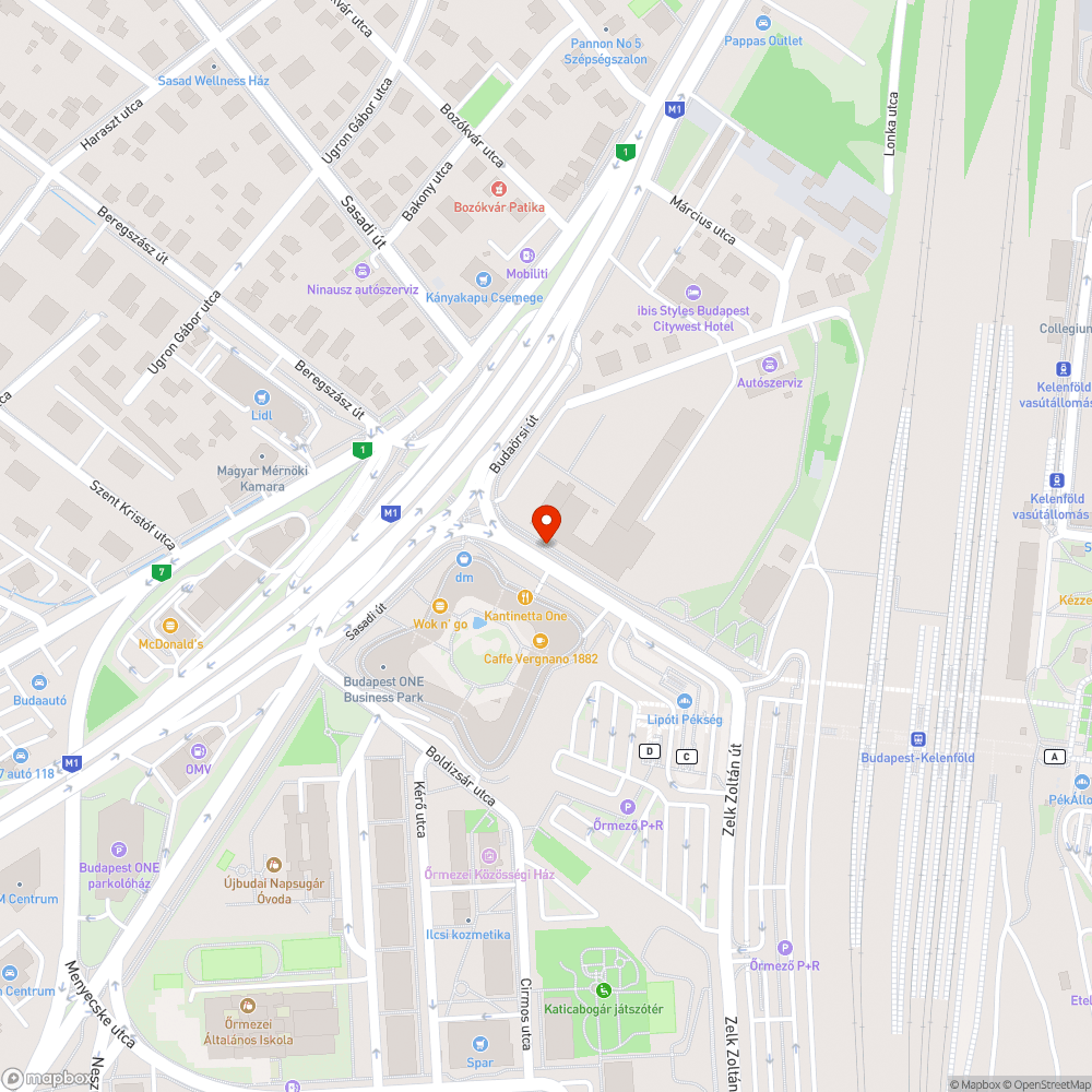 Elhagyatott szemét egy elhagyatott ház előtt a Koszorúslány utcán bejelentés helye