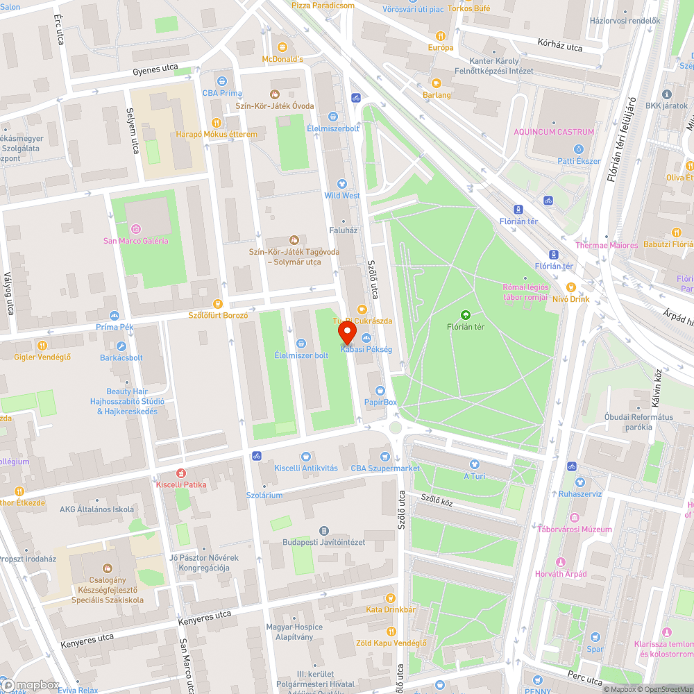 Szőlő utcai faluház hátsó része parkoló bejelentés helye