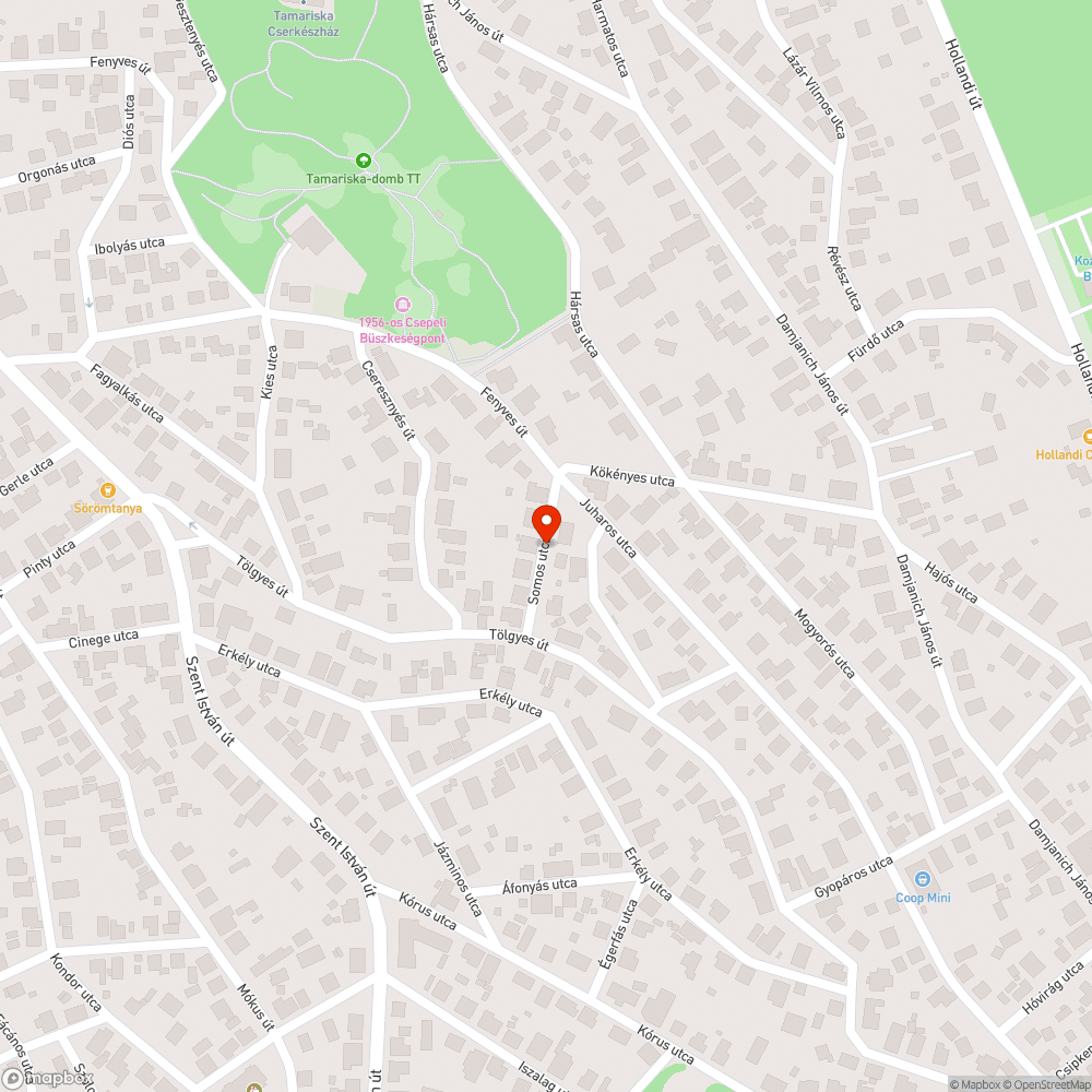 Tölgyes és Somos utca sarkán forgalomtechnikai tükör hiánya bejelentés helye