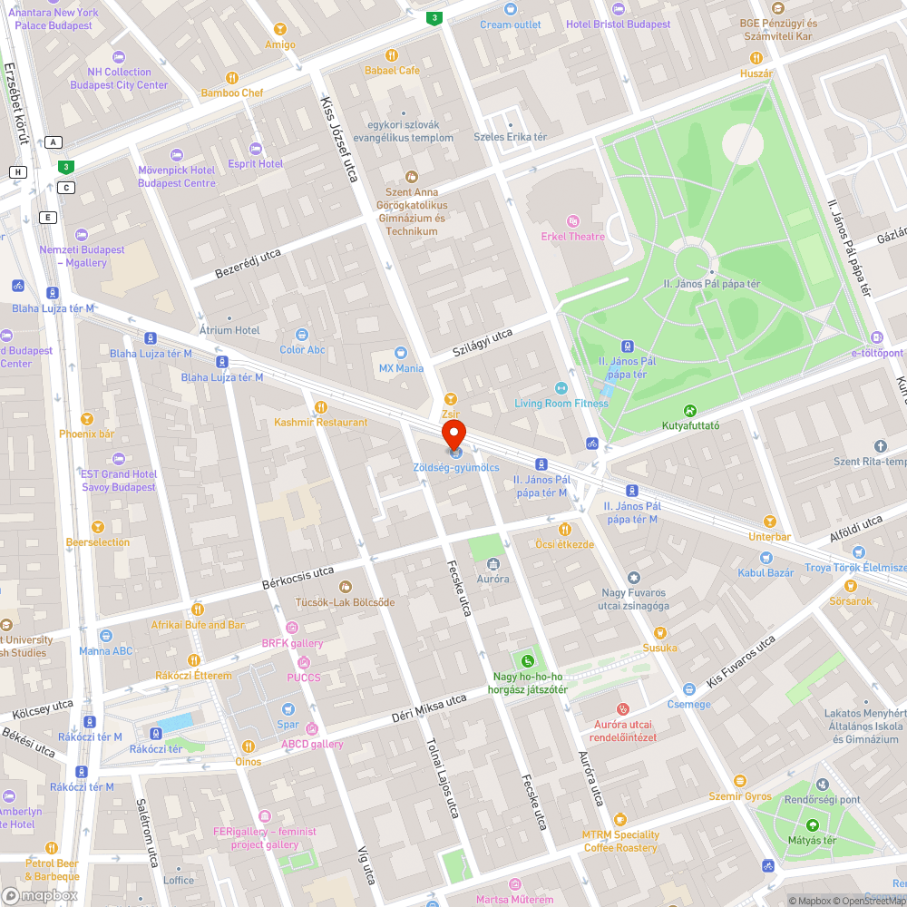 Hiányos utcai szemetes bejelentés helye