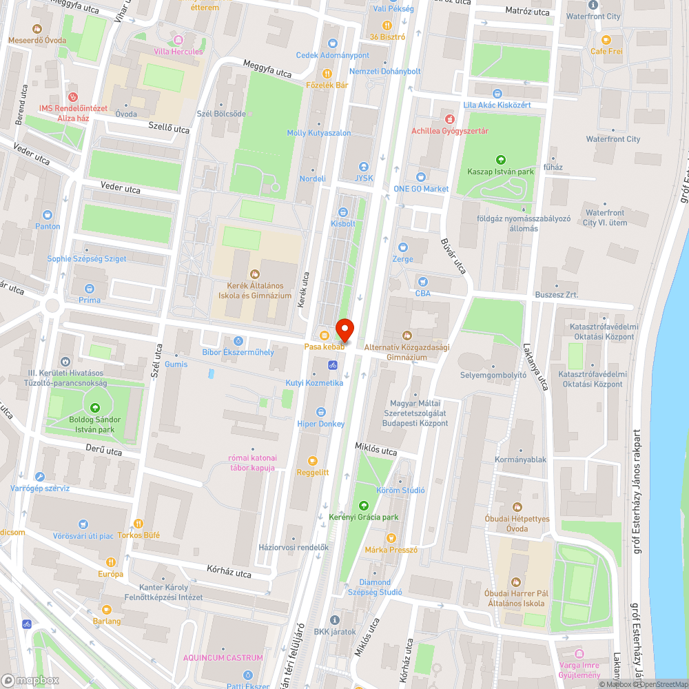 Lekopott zebra a Raktár utcánál bejelentés helye