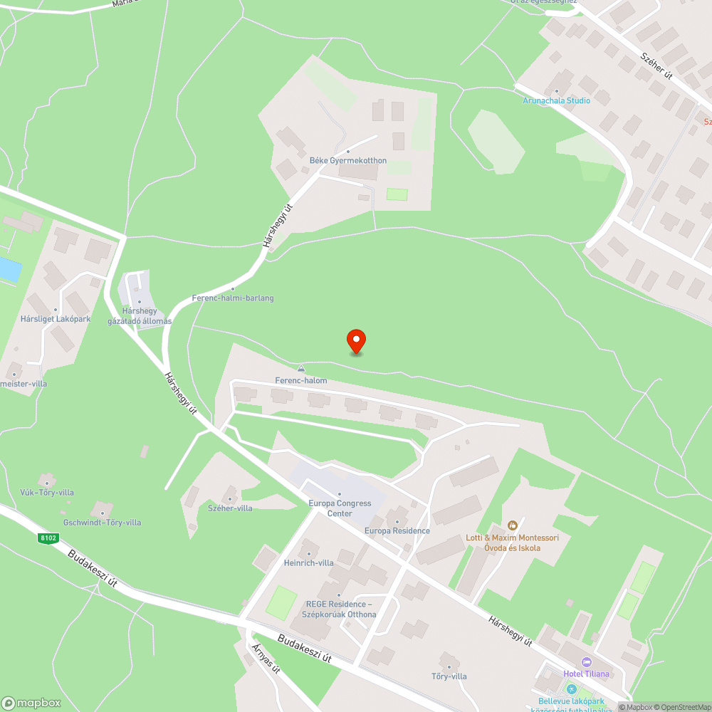 Felfordult vaddisznó a turistaút mellett a Ferenc-halmon bejelentés helye