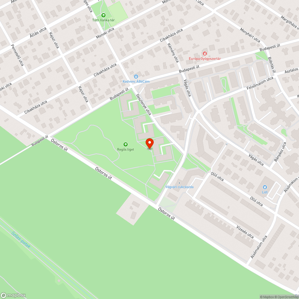 Felbehagyott parkrendezes Regos liget bejelentés helye