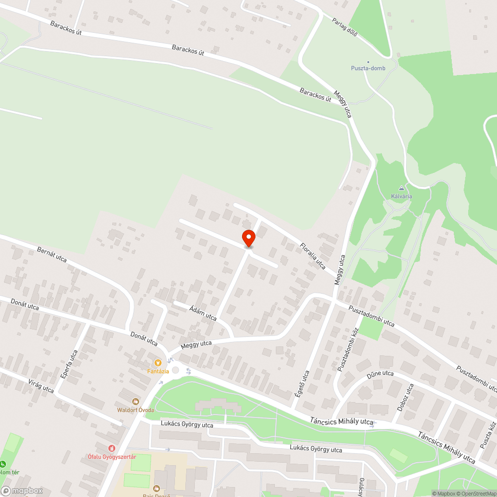 Önmagától kinőtt fa az úttest közepén. bejelentés helye