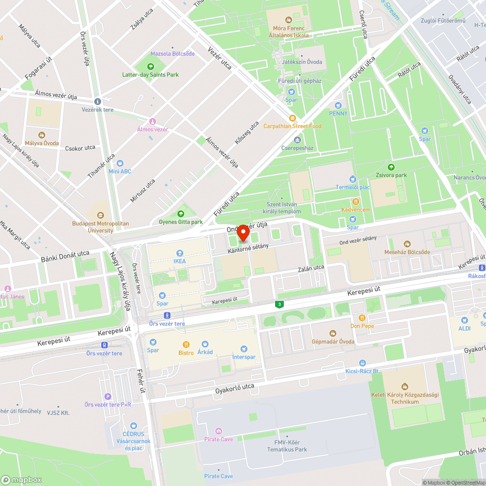 Folyik a tűzcsap bejelentés helye