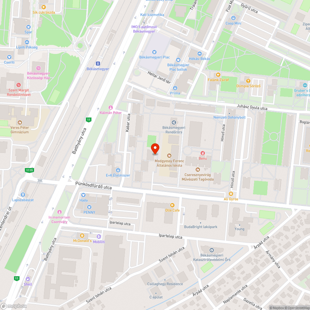 Megdőlt szemetes bejelentés helye