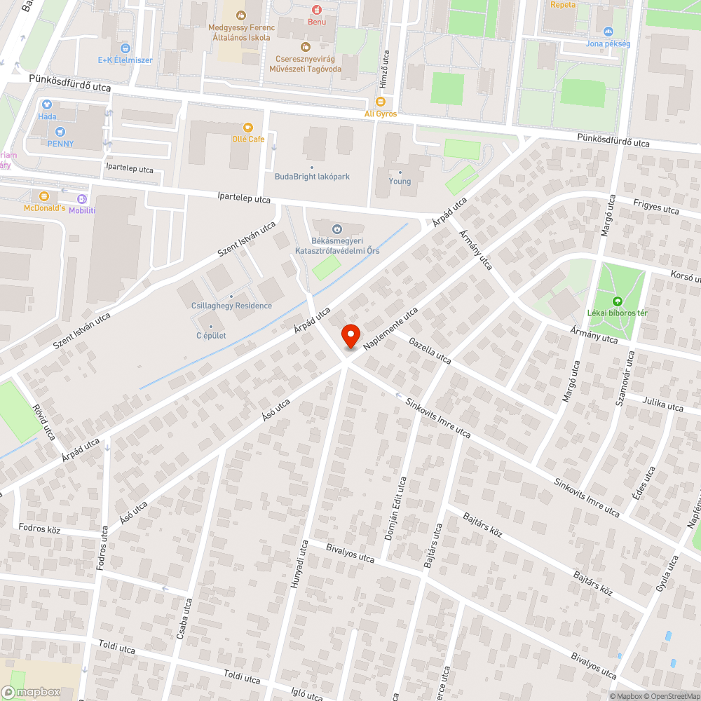 Eldugult víznyelő bejelentés helye