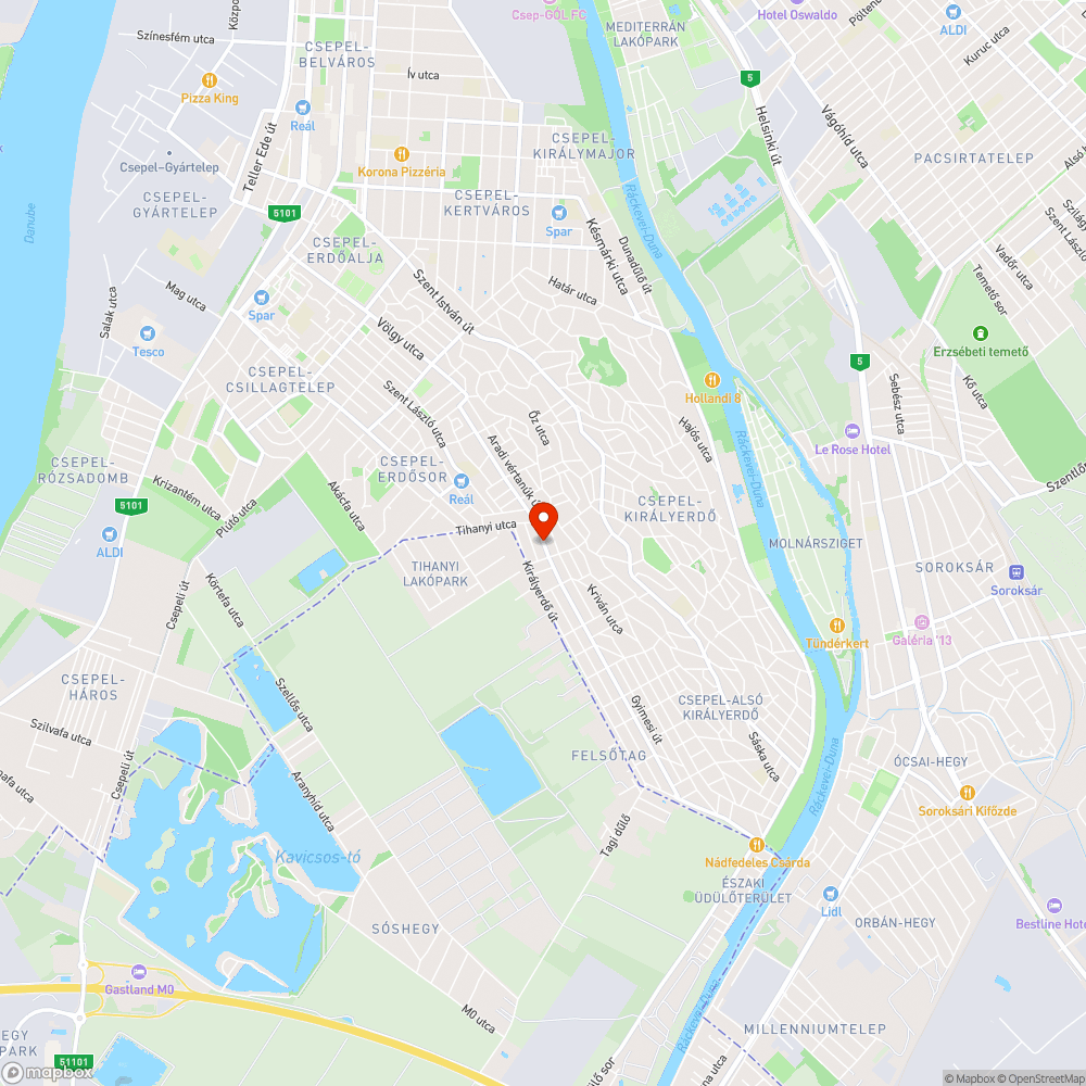 Gázolt macska bejelentés helye