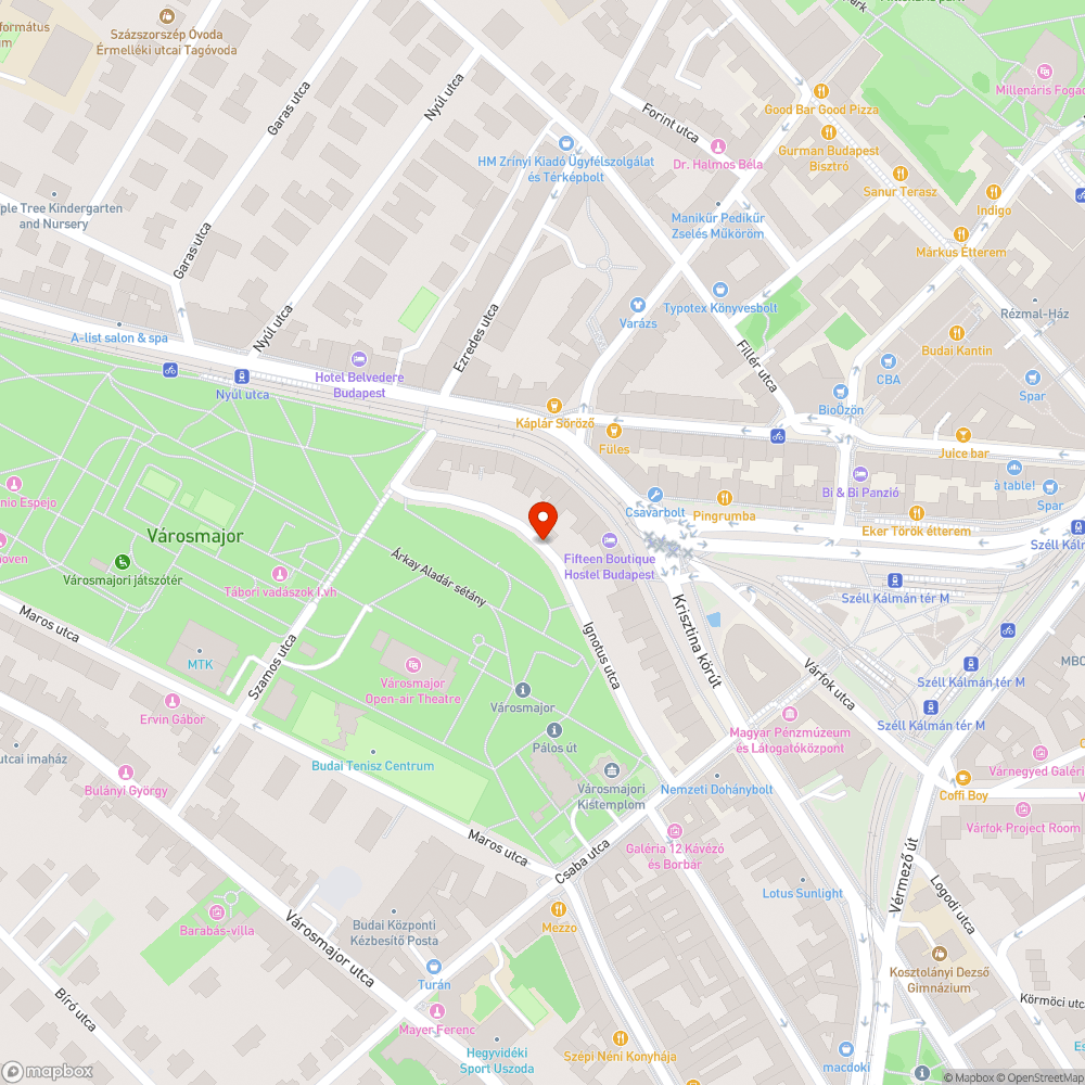 Elhagyott jármű és elhagyott ágak a parkolóban bejelentés helye