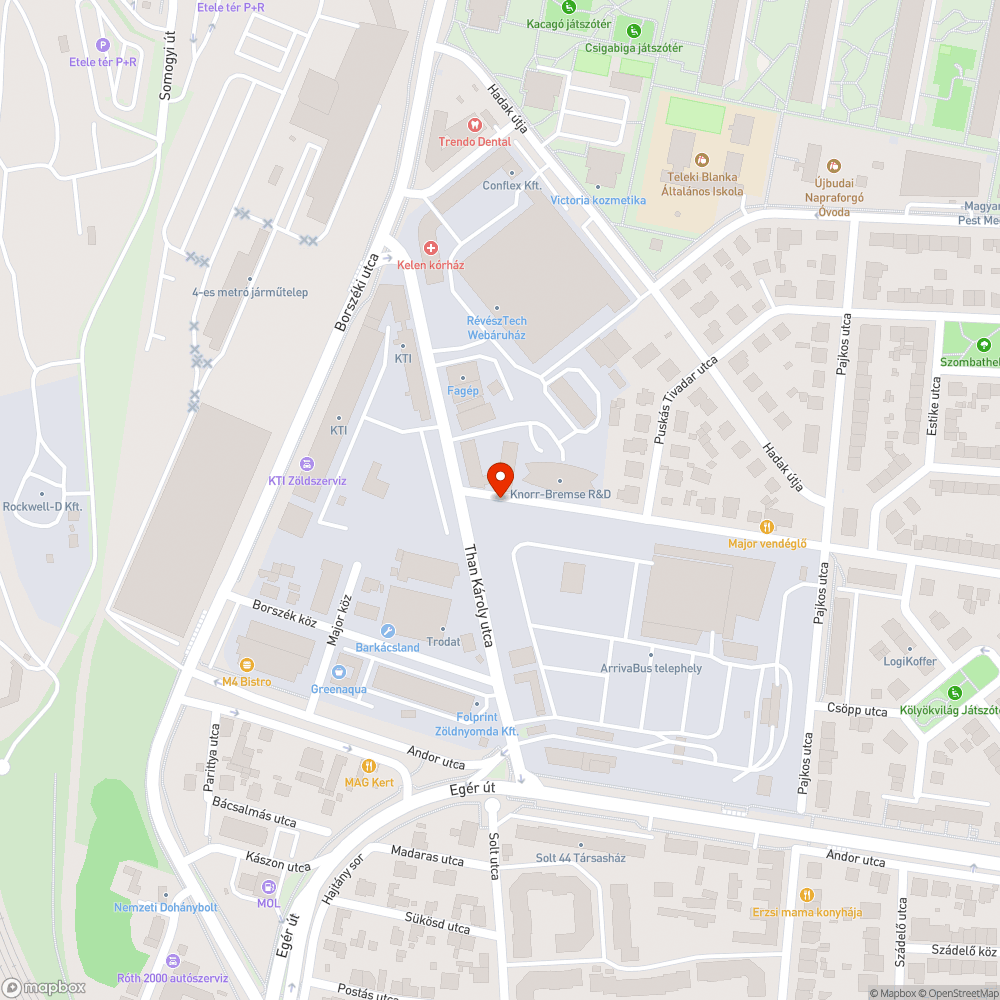 Növényzet takarta altalaji tűzcsap bejelentés helye