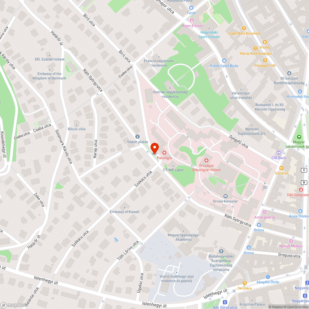 Járdára lógó otthagyott ágak a Roskovics utcánál bejelentés helye