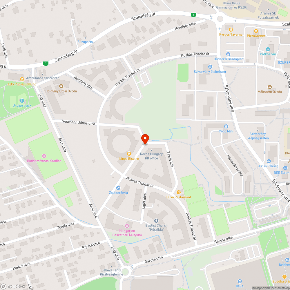 Benőtt tűzcsap bejelentés helye