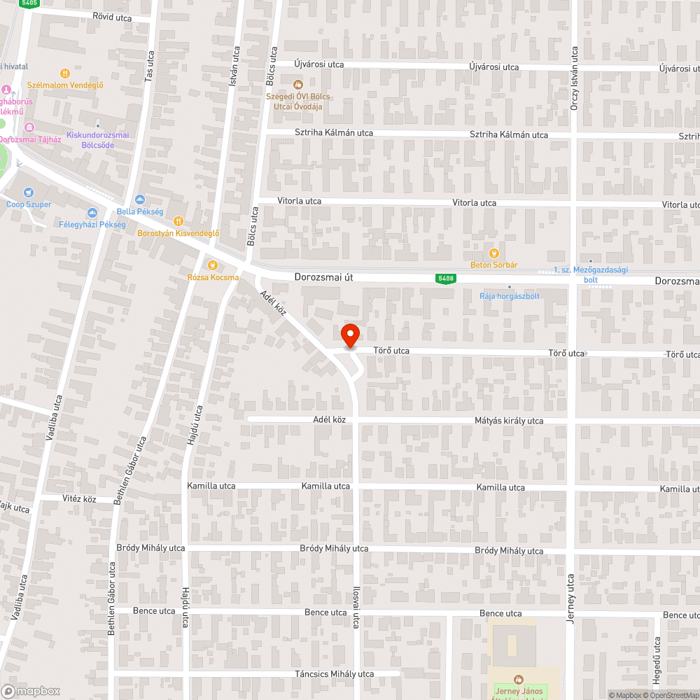 Kivágott fa, amit pótolni kellene bejelentés helye