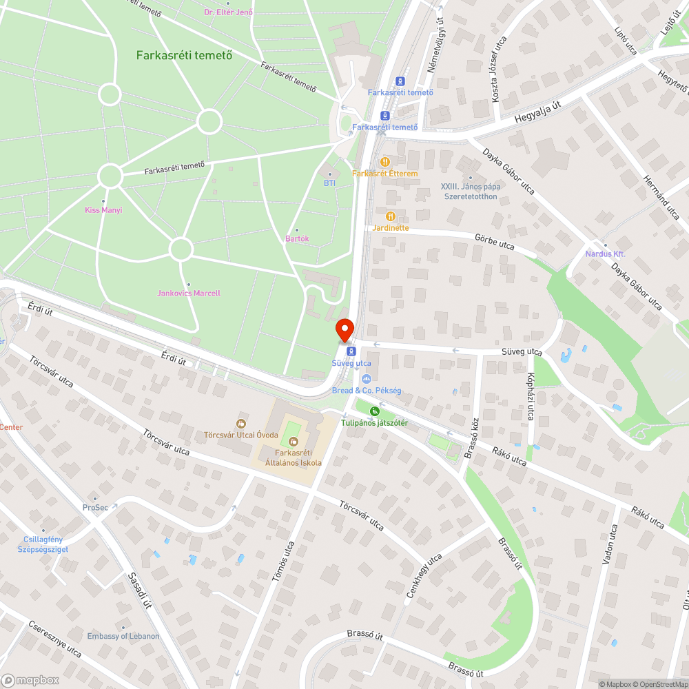 Megállónév hiánya bejelentés helye