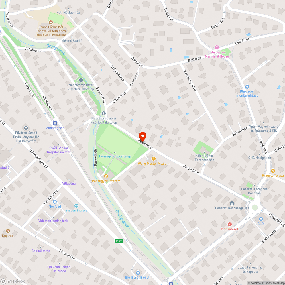 Eldugult víznyelő bejelentés helye