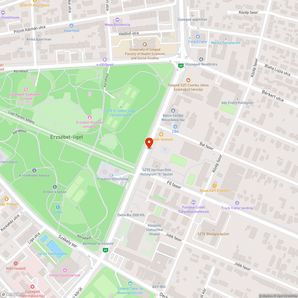 Törmelékkupac a Temesvári körúton bejelentés helye