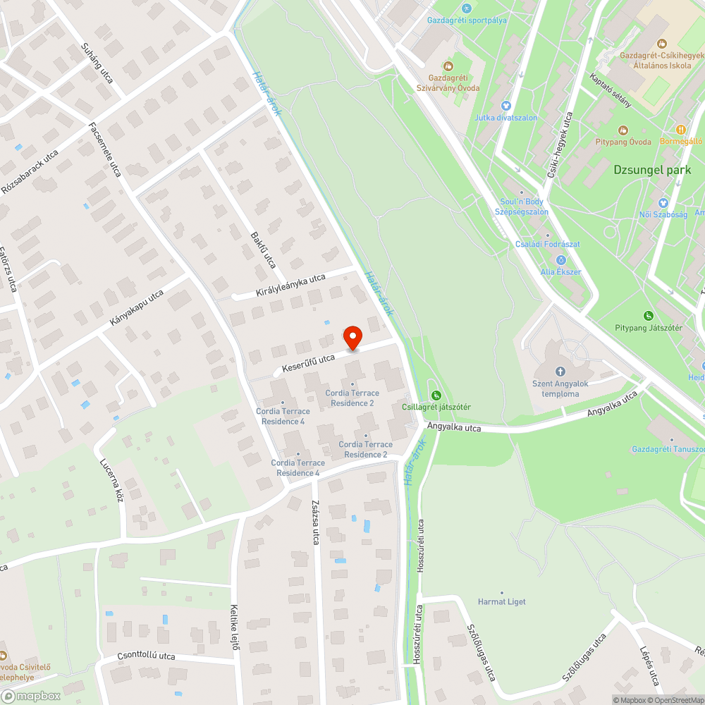 Ismételten roskadásig teletömött köztéri kuka bejelentés helye