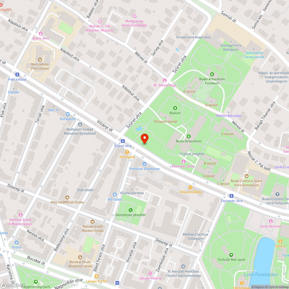 Citylightok osszefirkalasa bejelentés helye