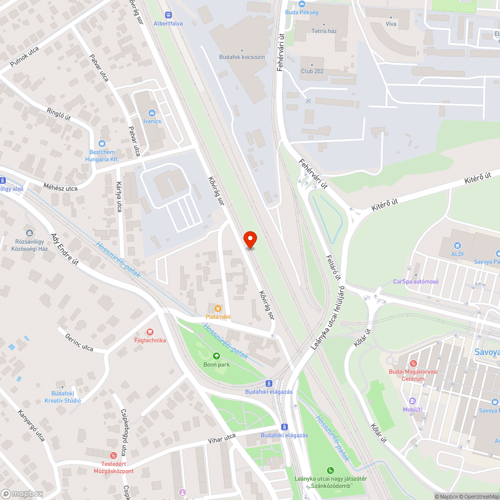 Kővirág sor Ady Endre és a Méhész utca közti szakasza bejelentés helye