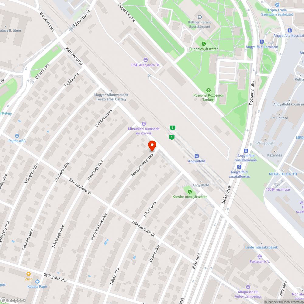 Kiszáradt fa bejelentés helye