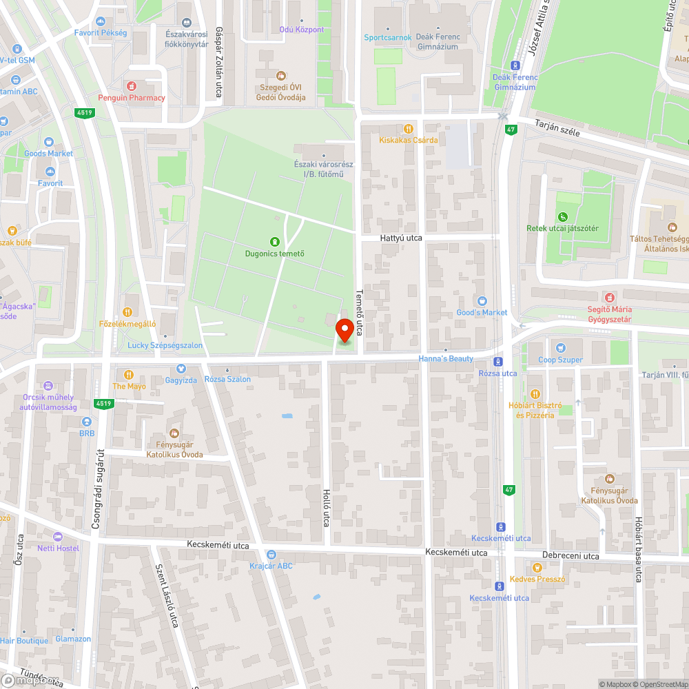 Lehasadt nagy terjedelmű fa ág bejelentés helye