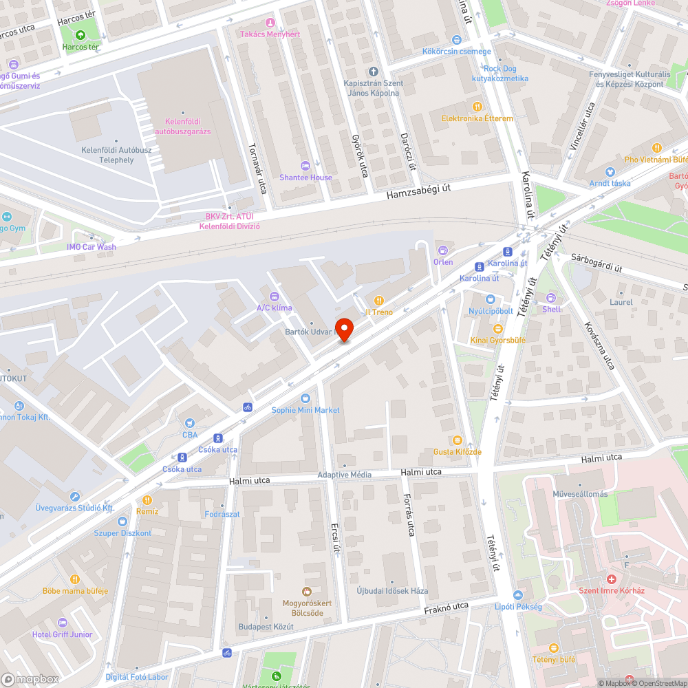 Egyenletes szemétszőnyeg a Bartók és Hamzsabégi úton bejelentés helye