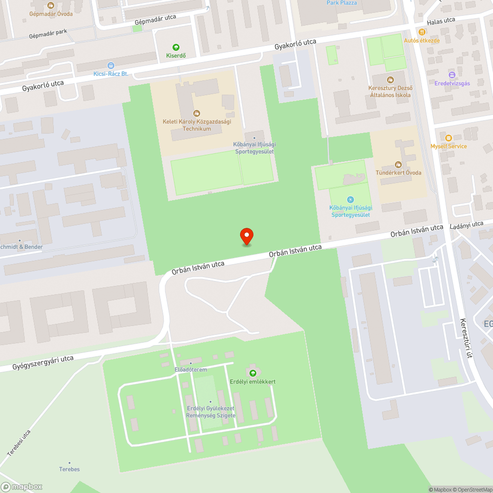 Egy teherautónyi szemét az Egis mögött, a Gyógyszergyár u. ligetes részén bejelentés helye