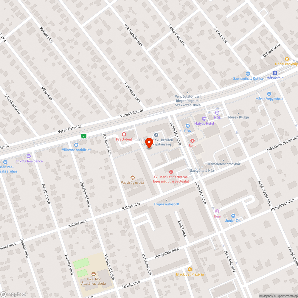 Kivágott, továbbra is hiányzó fasor bejelentés helye