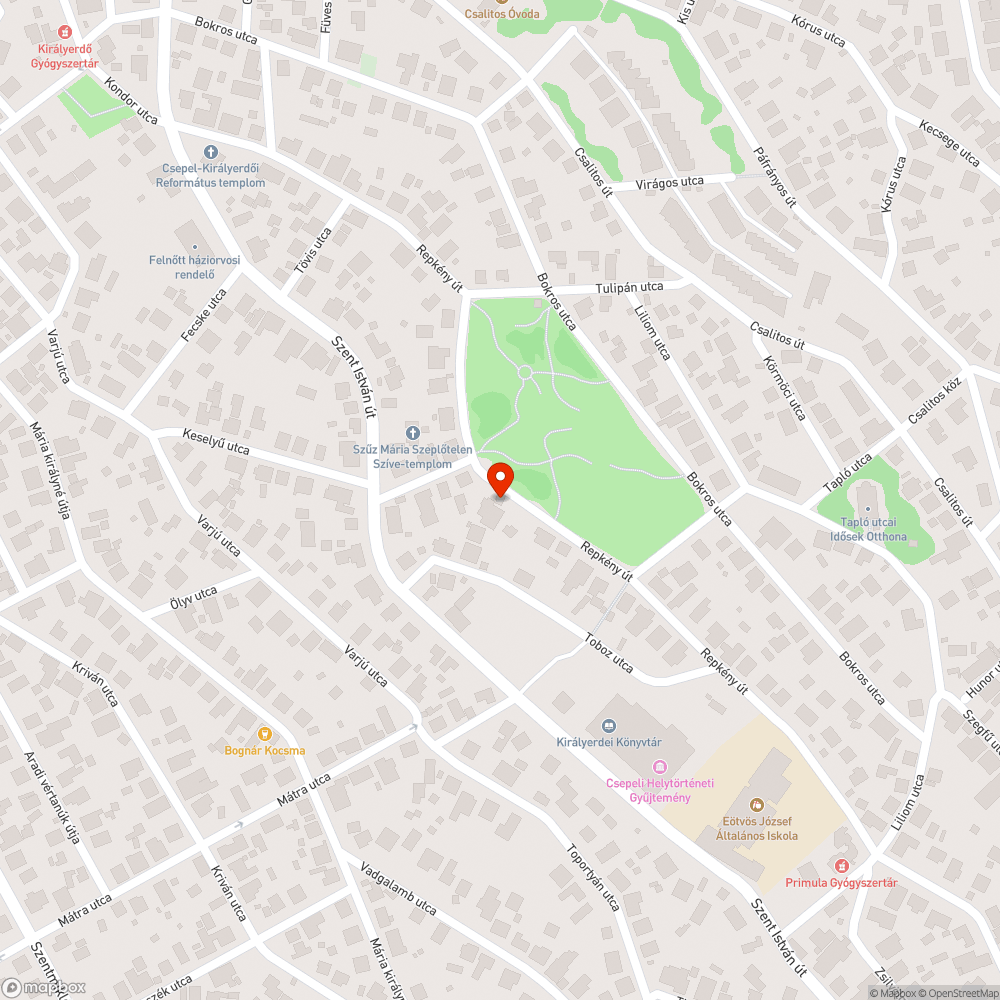 Rendszám nélküli járművek, autóroncsok tárolása közterületen, zöld felületen bejelentés helye