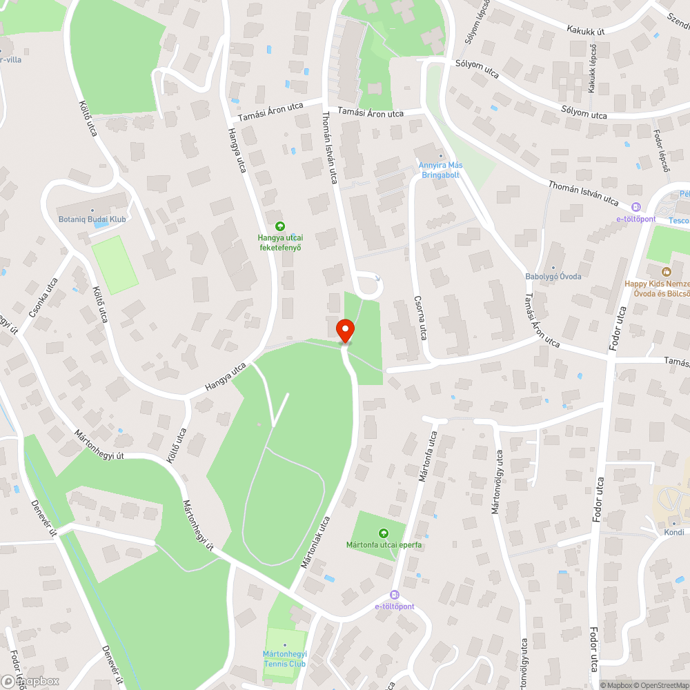 Firka a Mártonlak utca és a Csorna utca kereszteződésénél. bejelentés helye