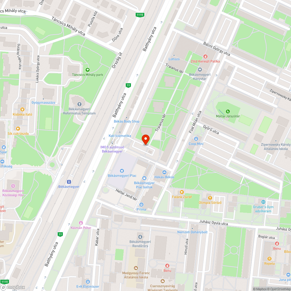 Kidőlt fa bejelentés helye