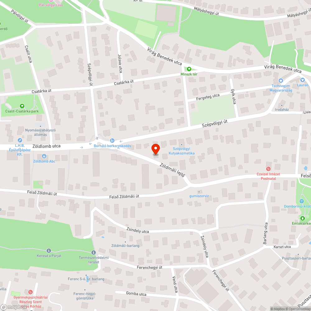 Elhagyott Opel bejelentés helye