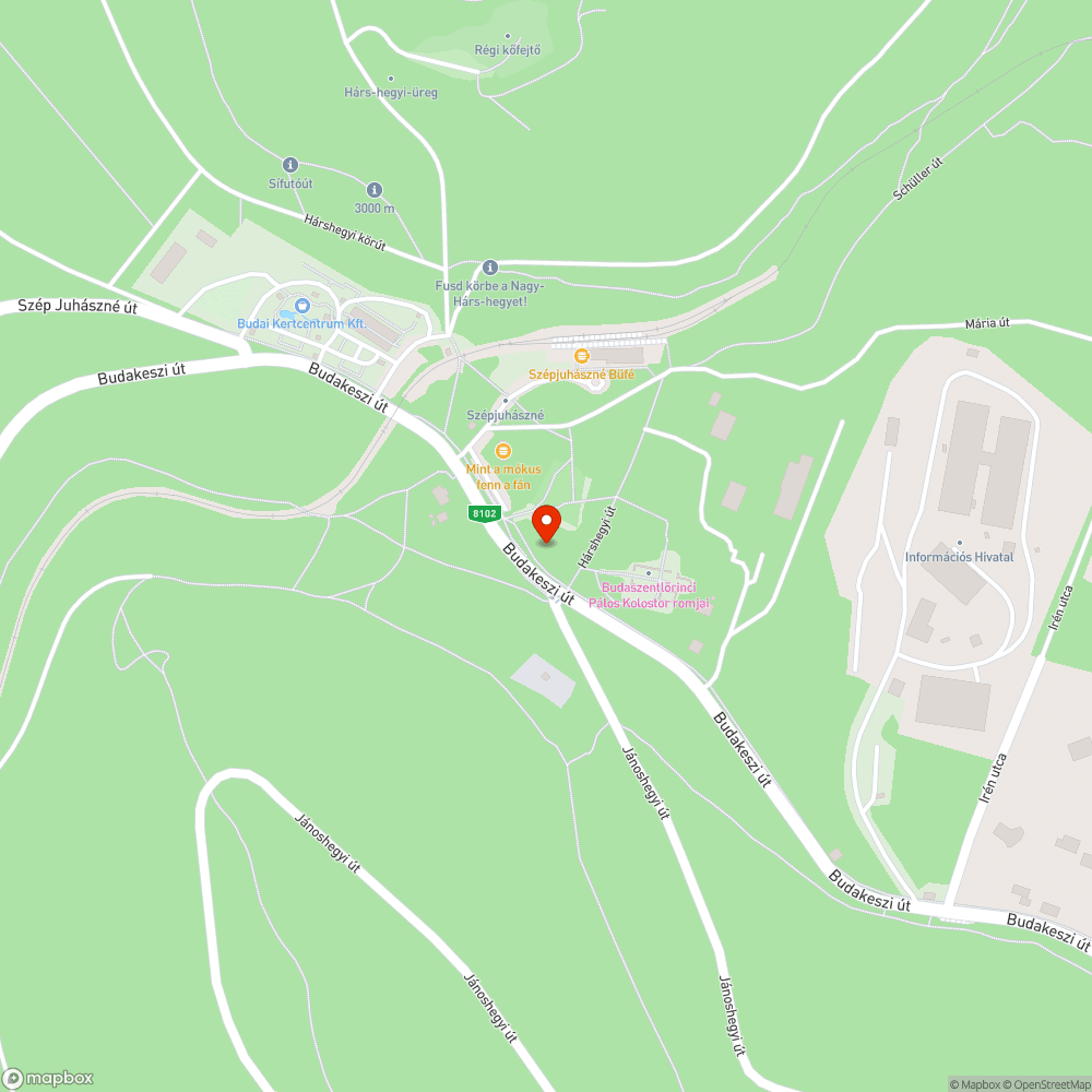 Forgalmas úton lekopott zebra bejelentés helye