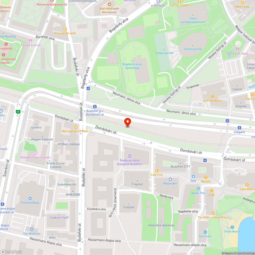 Kiszáradó új telepítésű nagy fa bejelentés helye